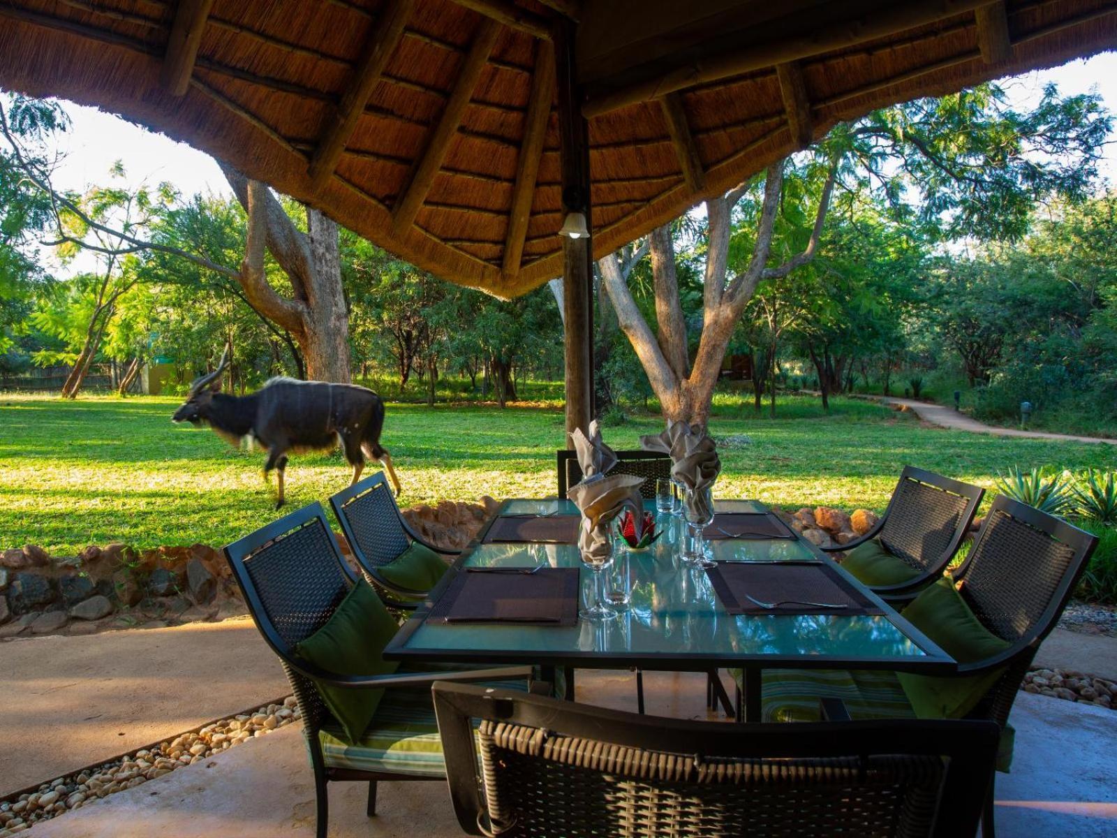 Kubu Safari Lodge Hoedspruit Exterior foto